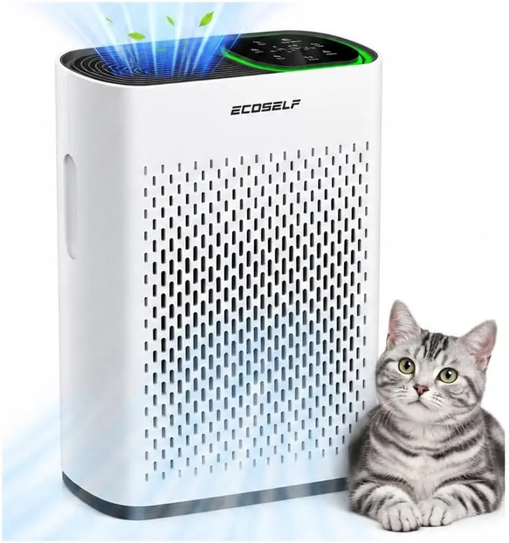 Ecoself HAP-602 Air Purifier